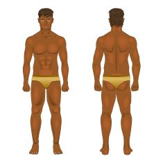 Figure of the standing man in front and behind vector N2