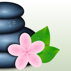 Spa stone N3