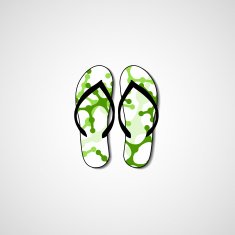 Abstract illustration on flip flops N11