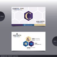 Abstract creative business card Vector N13