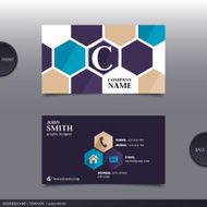 Abstract creative business card Vector N14