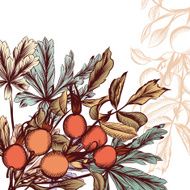 Hand Drawn floral background N15