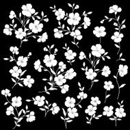 flower material N34