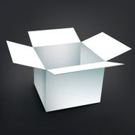 blank carton with soft shadow N3
