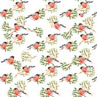 seamless texture with pine branch and bullfinch watercolor N2