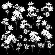 flower material N36