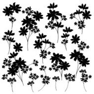 flower material N37