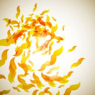 abstract background mustache N14