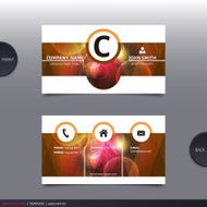 Abstract creative business card Vector N20
