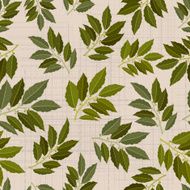 seamless texture of bay leaf