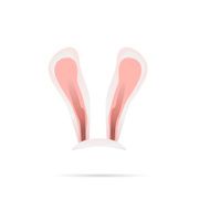 white bunny ears rabbit vector