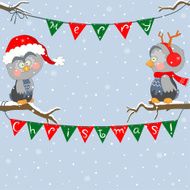 Christmas owls