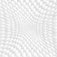 Abstract white background template