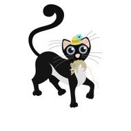 Black cat keeps the mouse