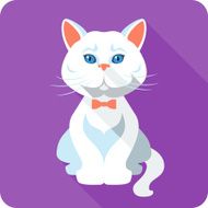 Vector white british Cat icon flat design
