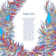 Vector Feather background N2