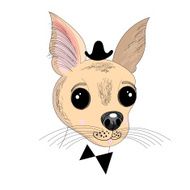 Portrait of a little dog hipster