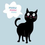 Black Cat N12