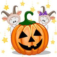 Halloween N112