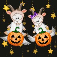 Halloween N114