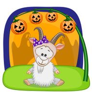 Halloween N116