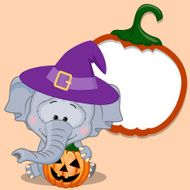 Halloween N123