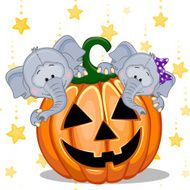 Halloween N124