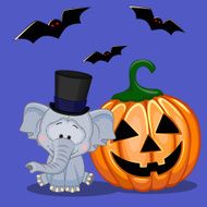 Halloween N125
