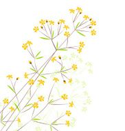 Flowers N119