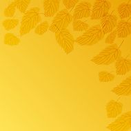 background abstract N6