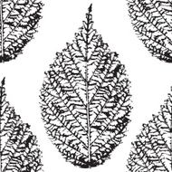 Autumn leaves seamless pattern floral background N8