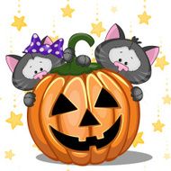 Halloween N137