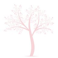 Olive Tree N5