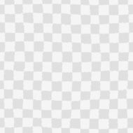 Seamless pattern with checkered geometric texture N3