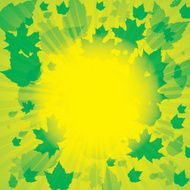 Autumn abstract background with leaf N2