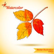 Autumn composition with yellow and red leaves N2