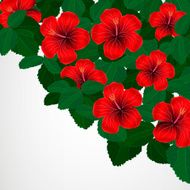 Background with red flowers