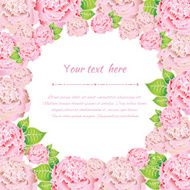Elegant pink roses