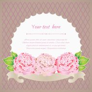 Elegant pink roses N4