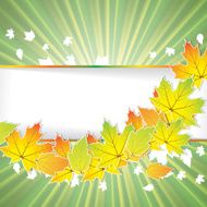 Autumn abstract background with leaf N3