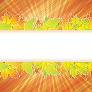 Autumn abstract background with leaf N4