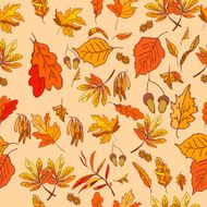 Autumn composition with yellow and red leaves N3