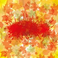 Autumn abstract background with leaf N6
