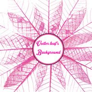 Skeletal leave with white background N2