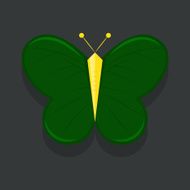butterfly N32