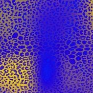 colorful textures of leopard