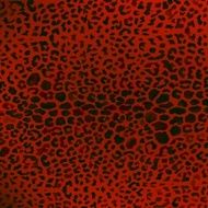 colorful textures of leopard N3