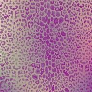 colorful textures of leopard N4
