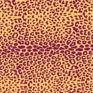 Jaguar leopard and ocelot skin texture