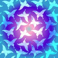 Seamless colorful butterfly pattern Vector illustration N3